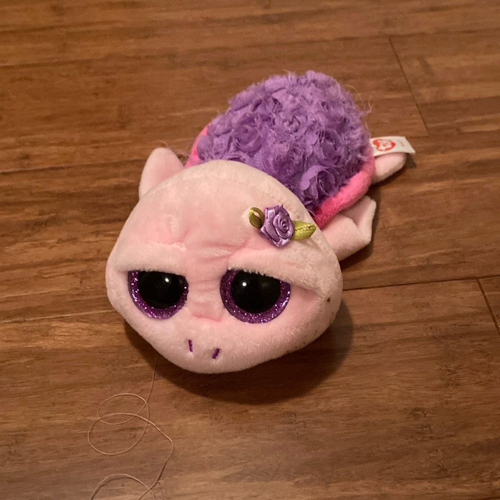 Rosie the turtle